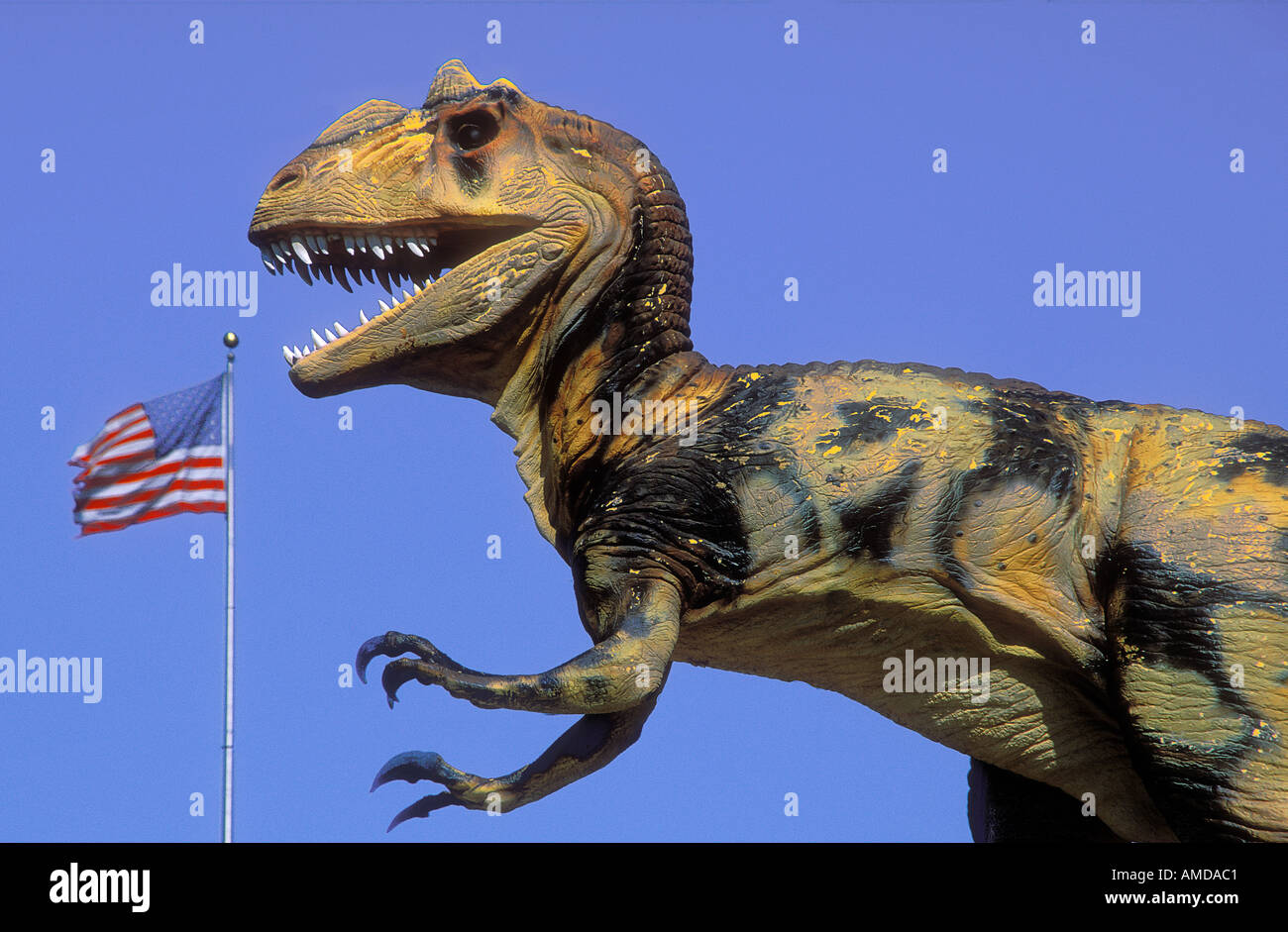 Lifesize modello di un Tirannosauro Rex insieme con una bandiera degli Stati Uniti Foto Stock