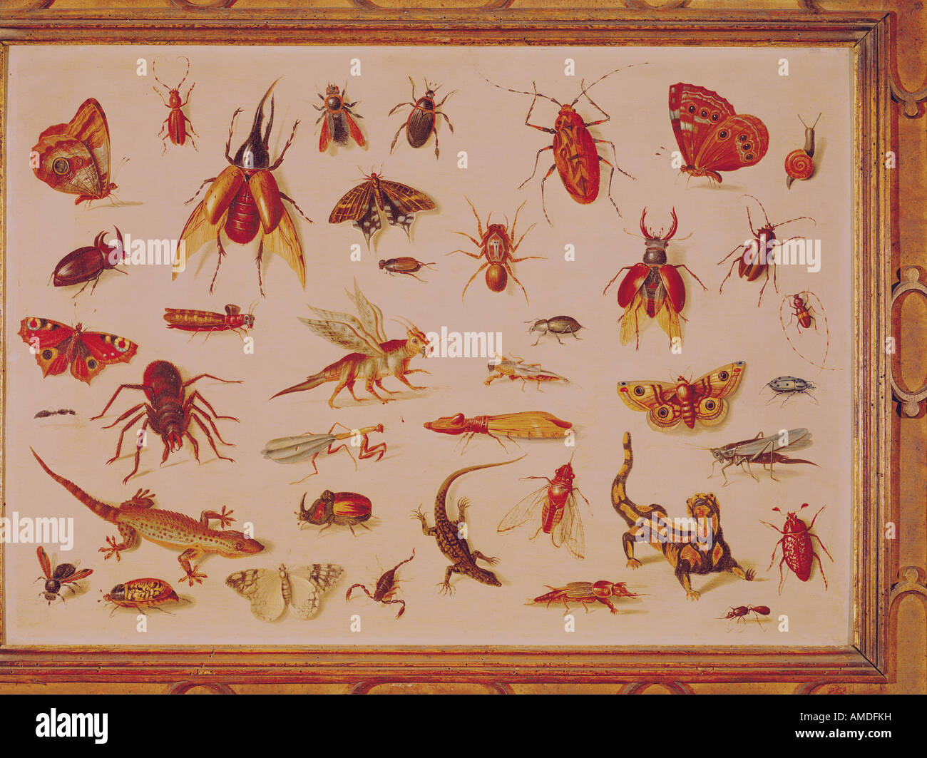 "Belle Arti, Kessel, Jan van il sambuco, (1626 - 1679), pittura, "Insetti, lucertole e salamandre', circa 1658, olio su rame, Foto Stock