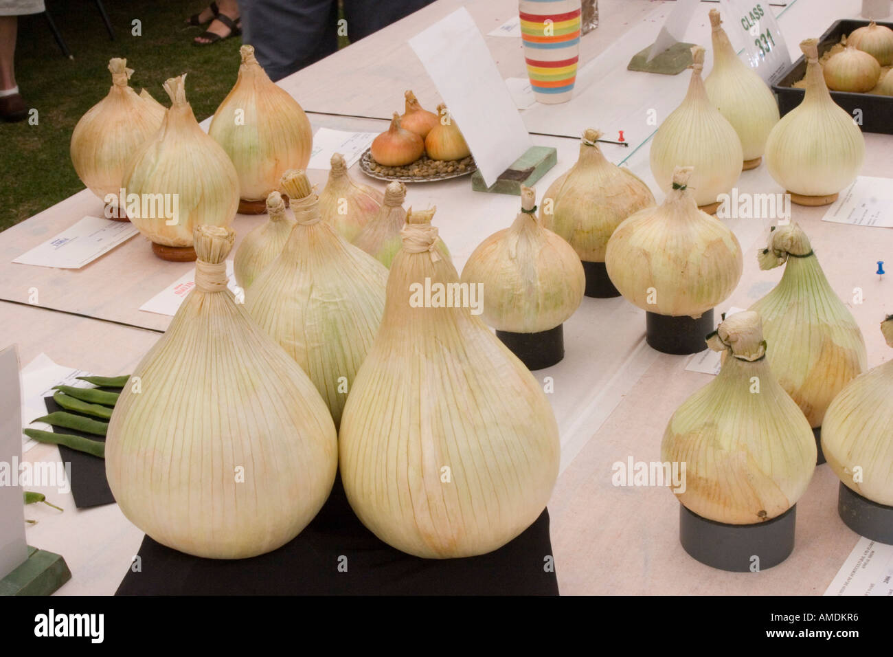 La frutta e la verdura espone a Taunton flower show Foto Stock