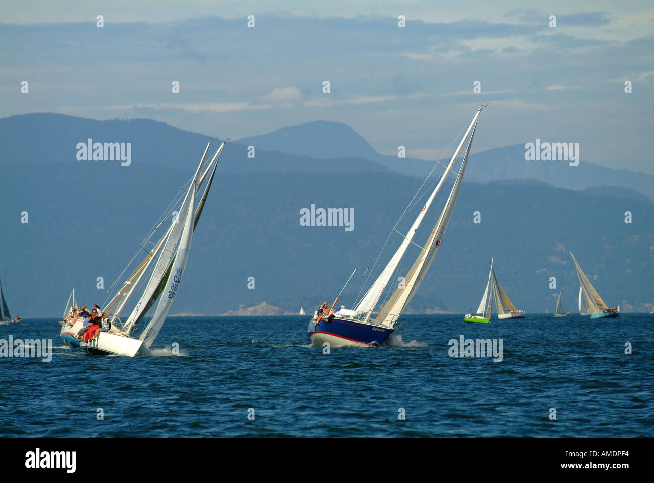Yacht a vela racing in regata Vancouver Foto Stock