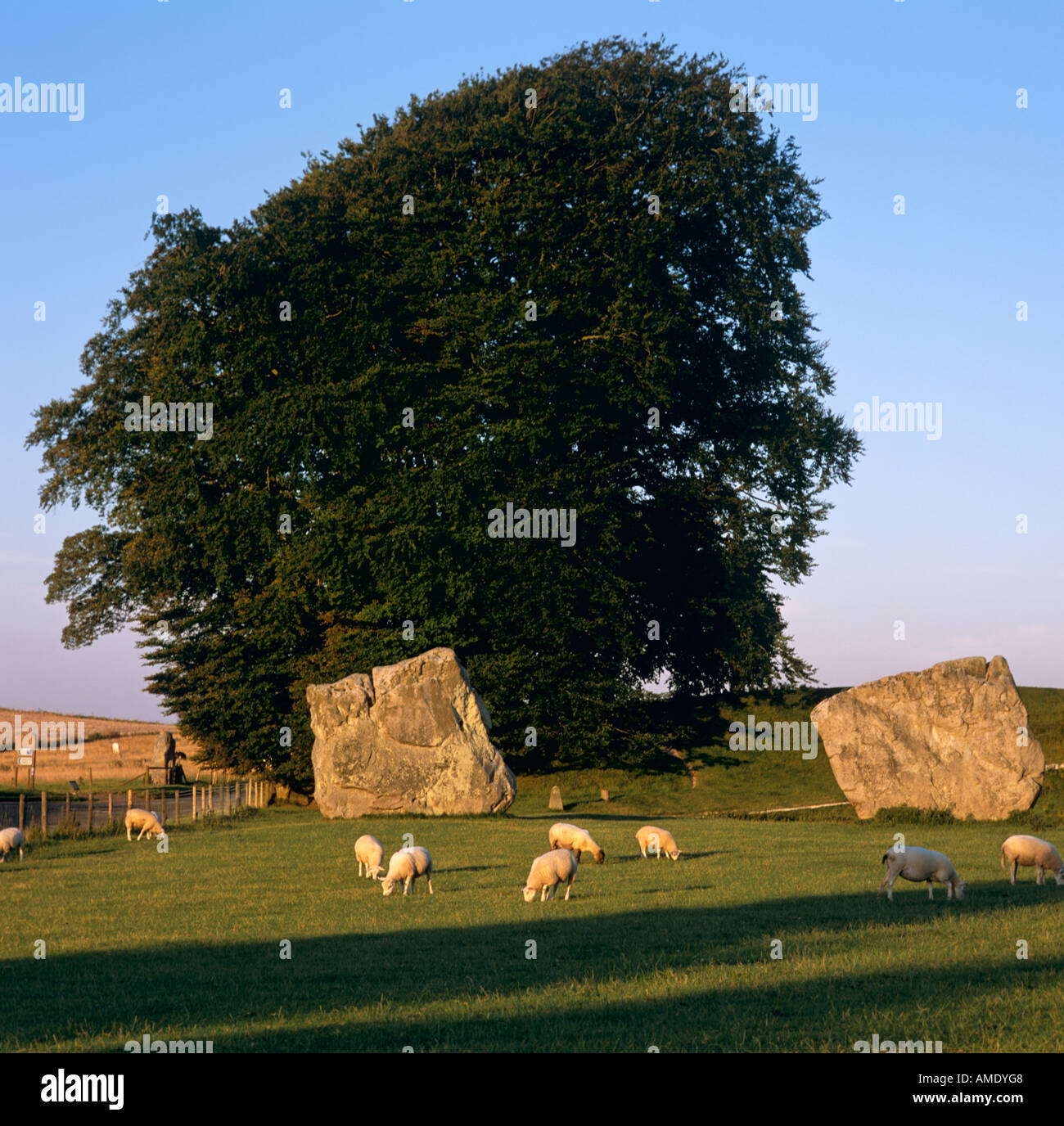 In piedi pietre paesaggio Avebury, WILTSHIRE REGNO UNITO Foto Stock