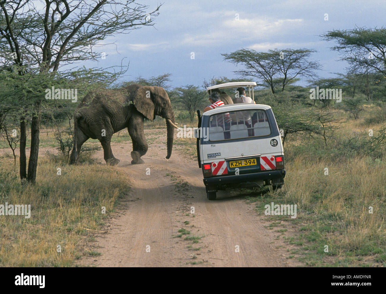 Un minivan contenente i visitatori su safari fotografia un grande elefante in Samburu National Wildlife Refuge Foto Stock