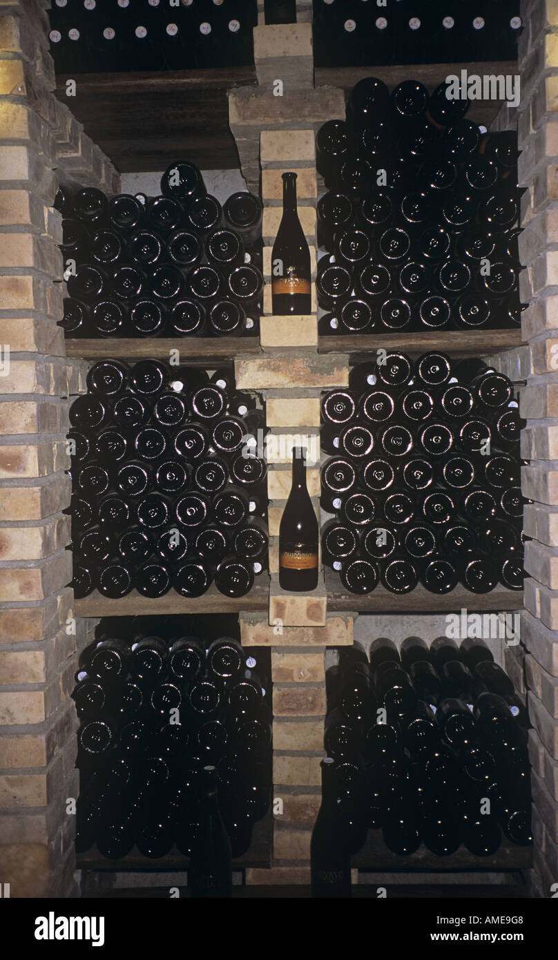 Le bottiglie di vino nella cantina dell hotel Zdjelarevic a Slavonski Brod Foto Stock