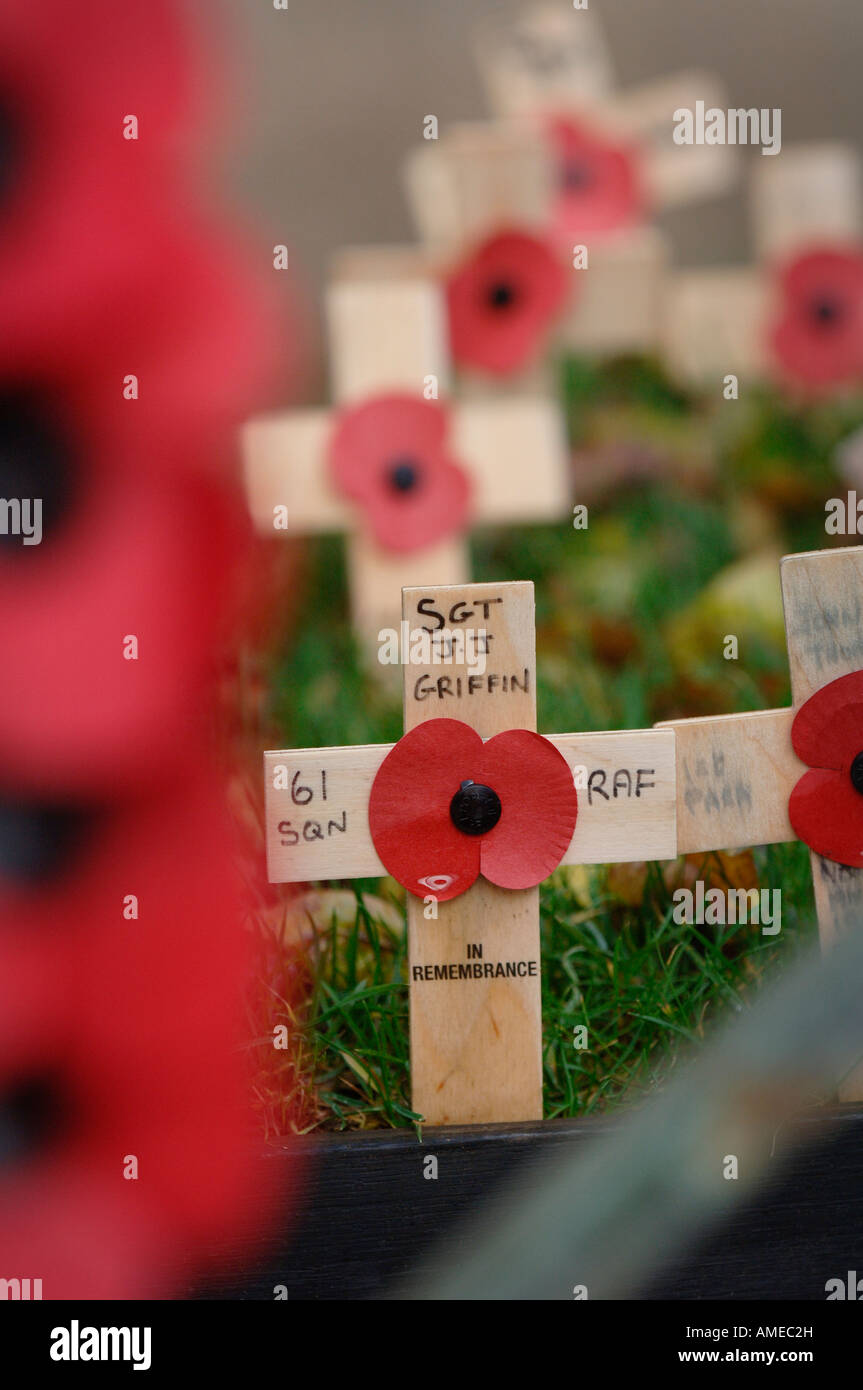 Papaveri e ricordo attraversa il Memoriale di guerra nella città di Bath Somerset. Foto da Jim Holden. Foto Stock