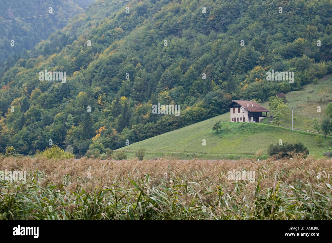 Ampola in Trentino alpi vicino al Lago di Garda Italia naturali riserva ecologica con zona umida e stagionale e sentieri di lago e centro visitatori Foto Stock