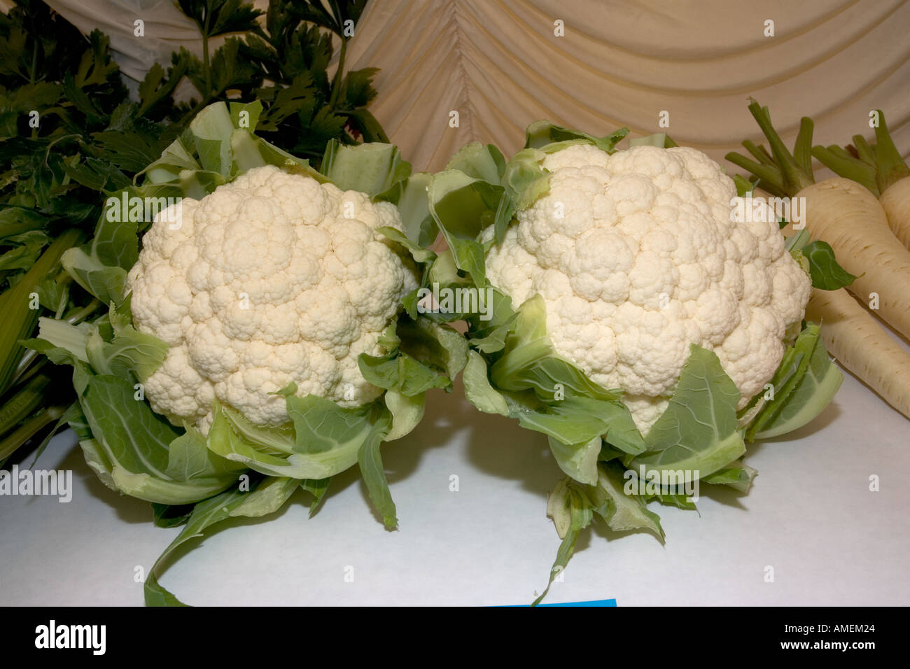 Premiati i cavolfiori a Moreton in Marsh spettacolo agricolo Settembre 2005 Costwolds REGNO UNITO Foto Stock