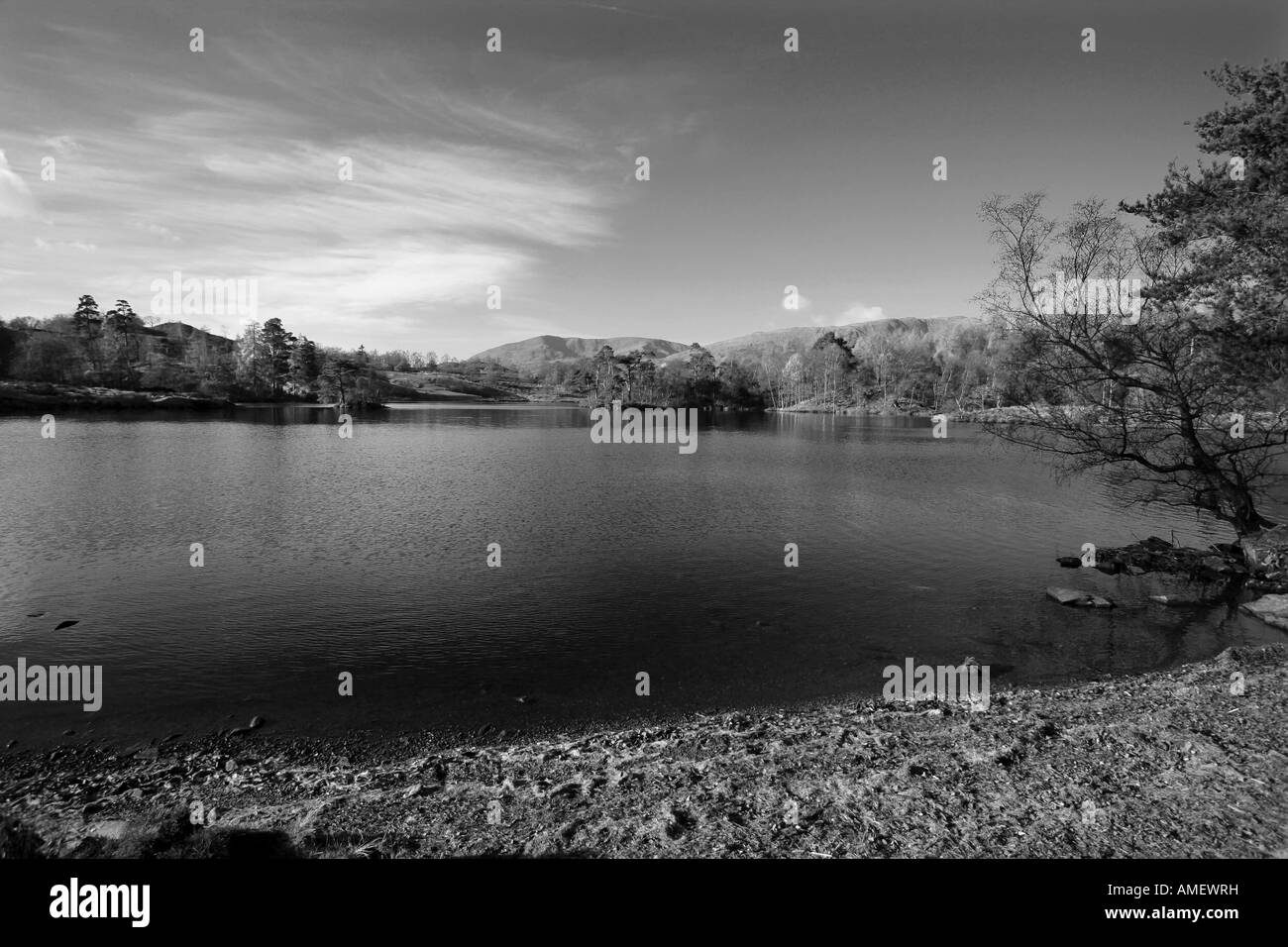 Vista sul lago a Tarn Hows Coniston 'Lake District National Park' Cumbria Regno Unito Foto Stock