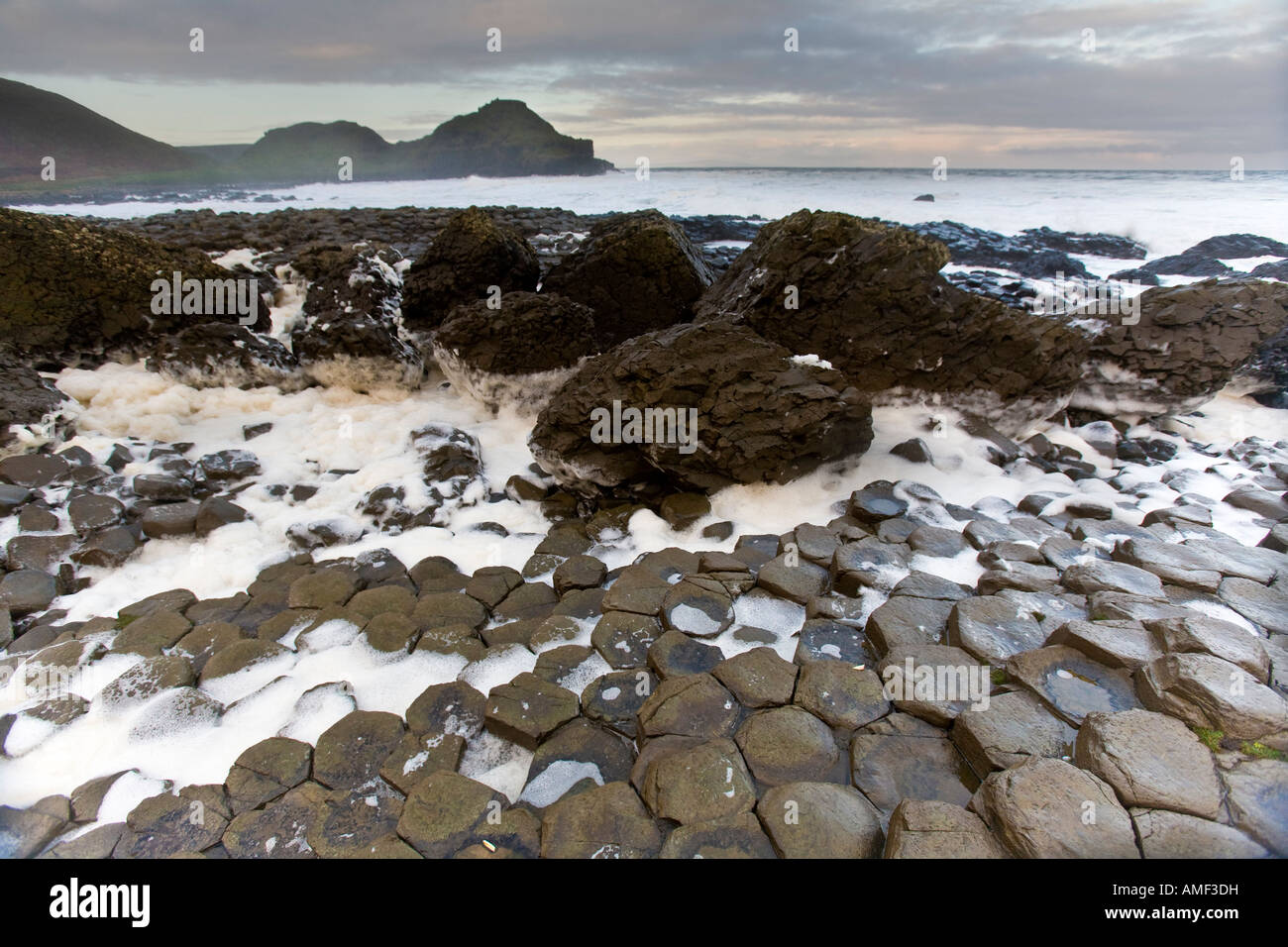 Giant's Causway, Antrim, Irlanda del Nord Foto Stock