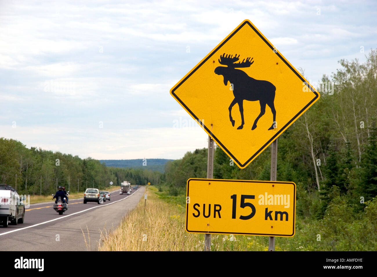 Attraversamento alci cartello stradale lungo l'autostrada 189 nel Sud Est del Quebec, Canada. Foto Stock