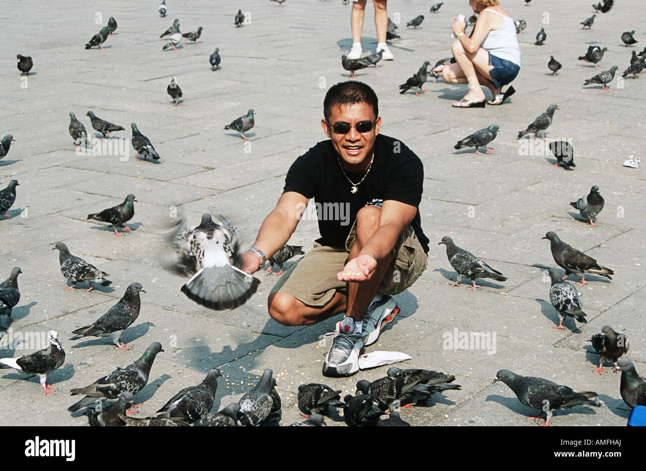 Alimentazione turistico piccioni in Piazza San Marco, Piazza San Marco, Venezia, Italia Foto Stock