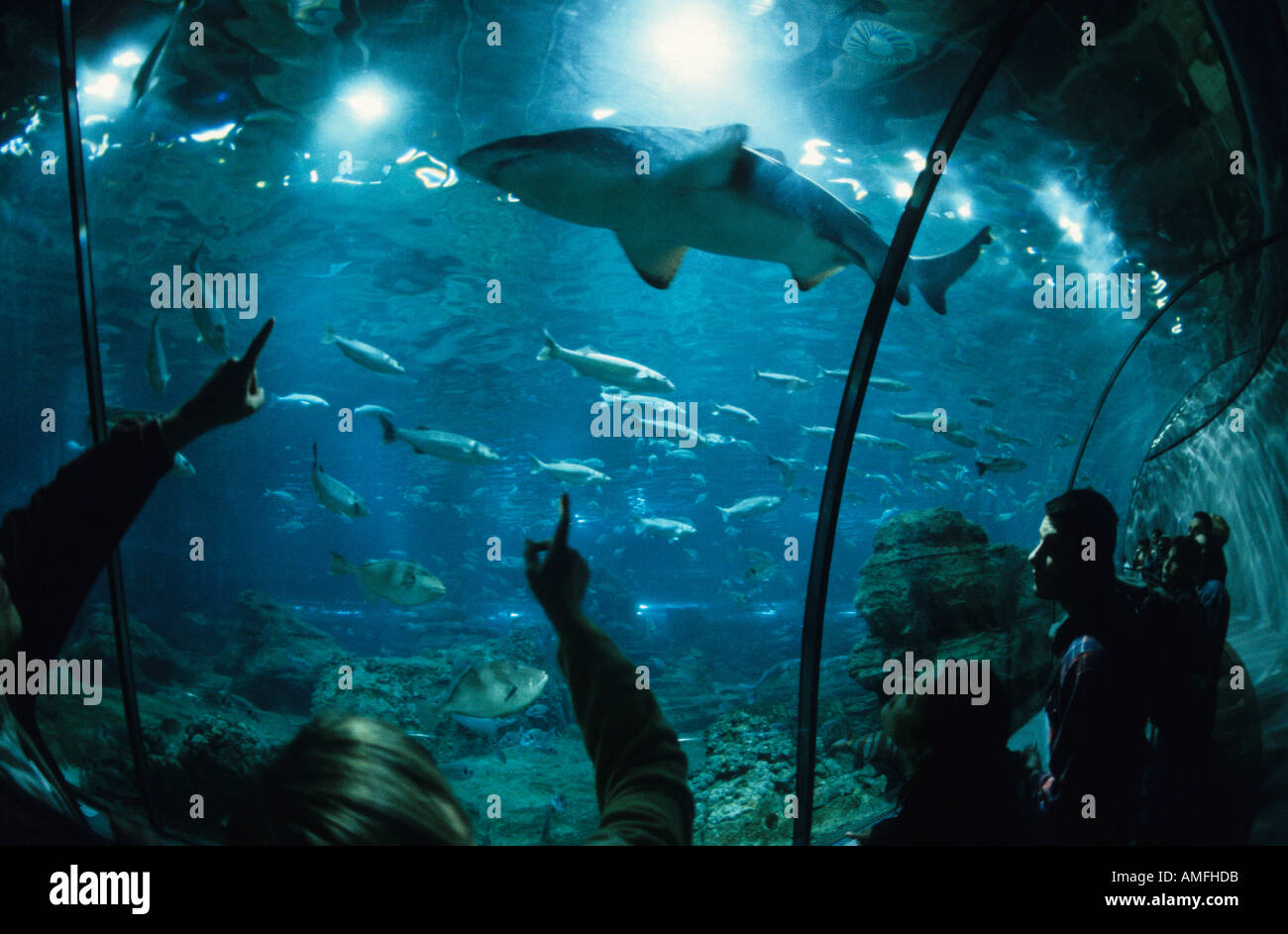 Acuario Barcelona Immagini E Fotografie Stock Ad Alta Risoluzione Alamy