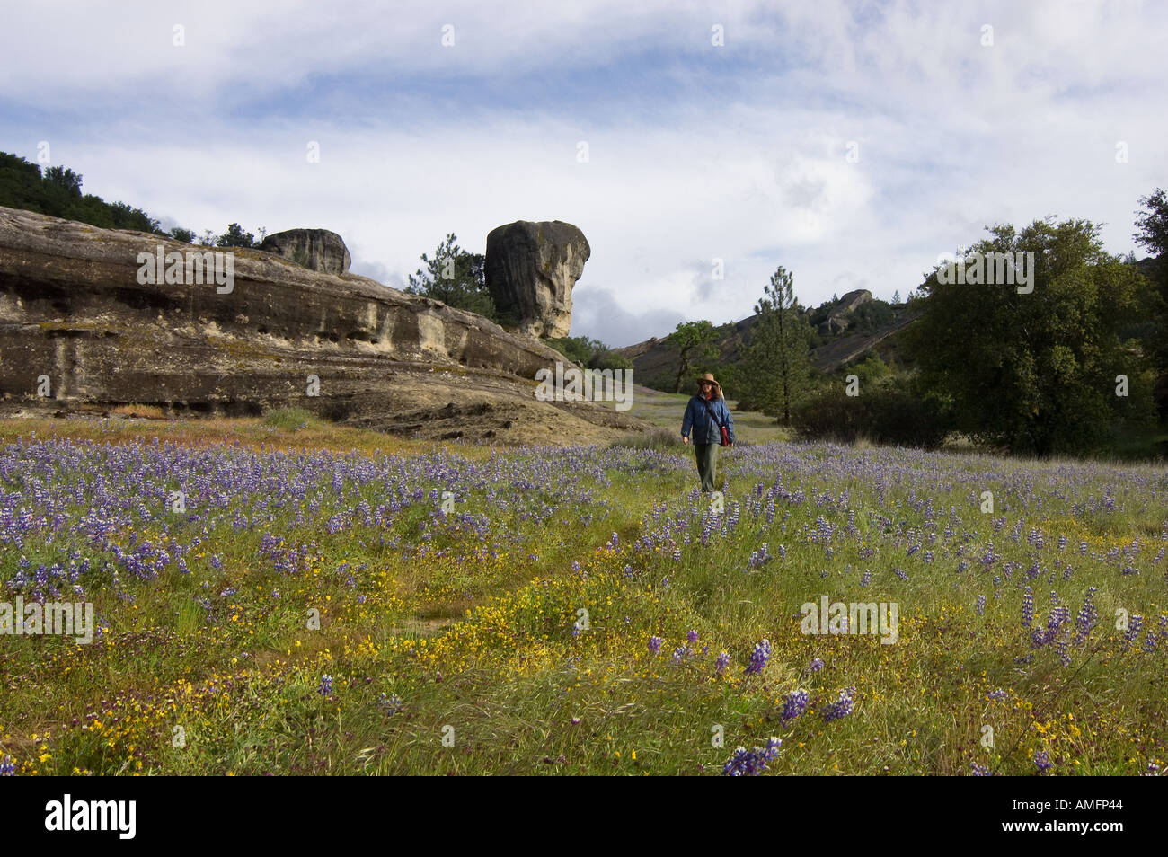 Christine Kolisch su una escursione al di fuori di indiani campeggio vicino a Fort HUNTER LIGGETT CALIFORNIA Foto Stock