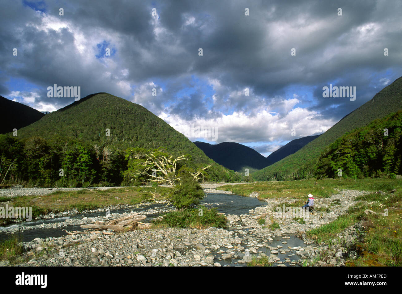 MARUIA River Valley vicino a Maruia Hot Springs Isola del Sud della Nuova Zelanda Foto Stock