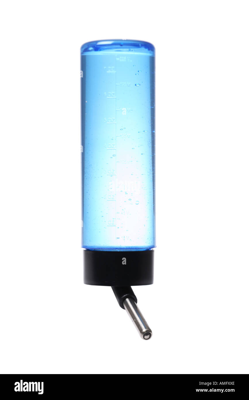 Roditore di acqua in bottiglia Foto Stock