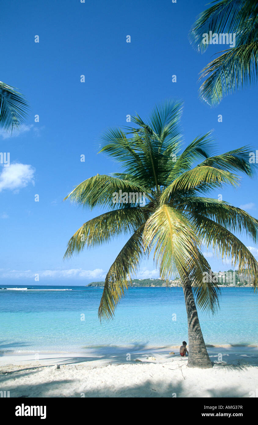 Antille, Guadalupa, ST-FRANCOIS, Plage des uvetta CLAIRS Foto Stock