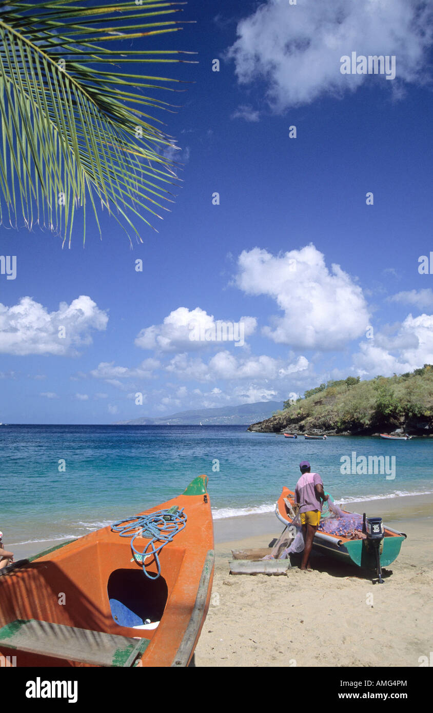 Martinica Anse Dufour Foto Stock