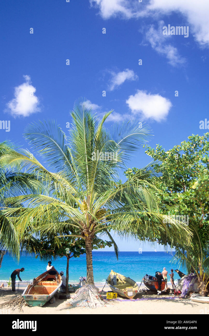 Anse Dufour di Martinica Foto Stock