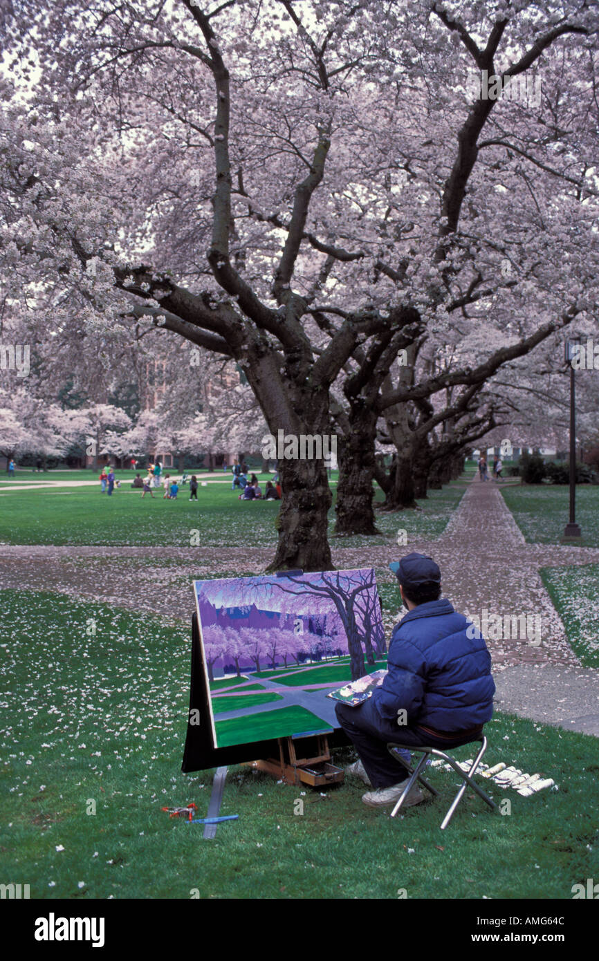 Artista pittura sotto gli alberi di ciliegio Foto Stock