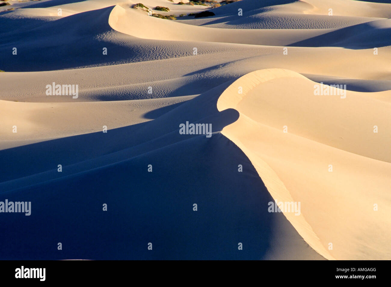 Dune di sabbia tubo da stufa pozzetti Death Valley California USA Foto Stock