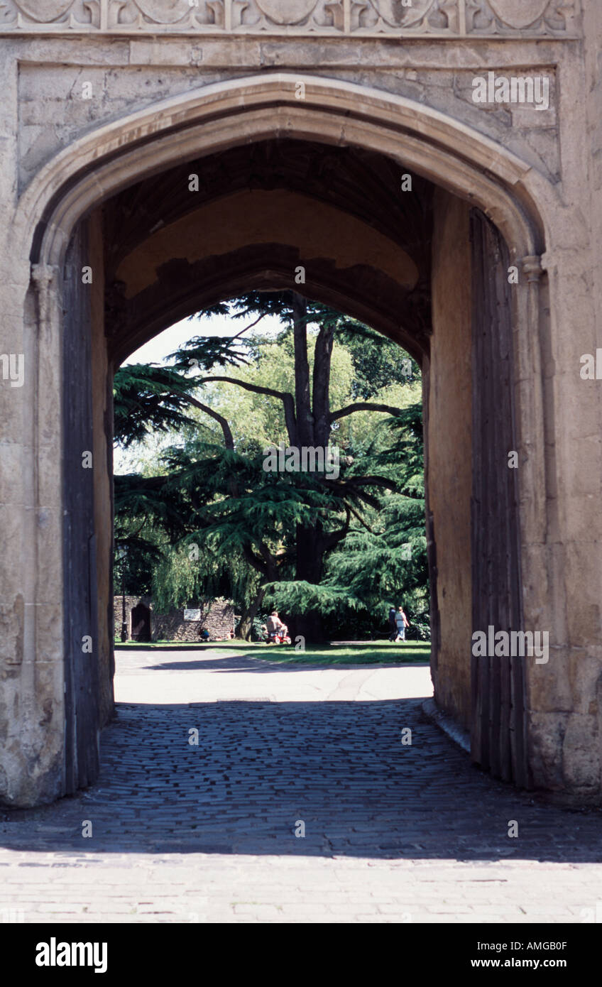 Guardando nel Palazzo dei Vescovi motivi attraverso un gateway arcuata Wells Somerset, Inghilterra, Regno Unito Foto Stock