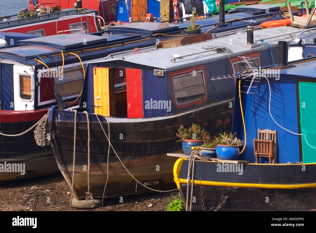 Case galleggianti sul fiume Tamigi a Hammersmith a Londra Foto Stock