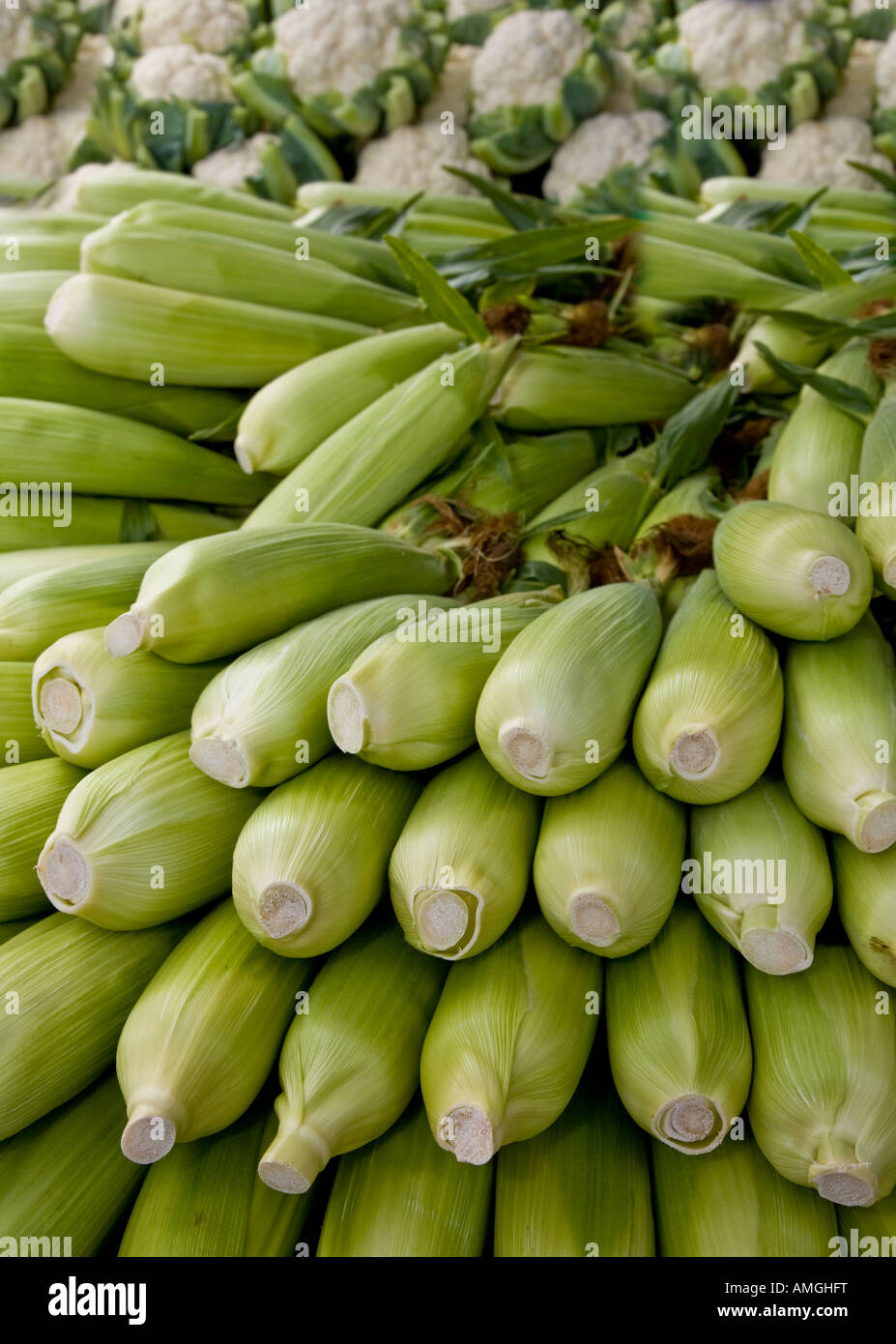 Sulla pannocchia di mais stallo a Peschici Food Festival, Hampshire, Regno Unito. Foto Stock
