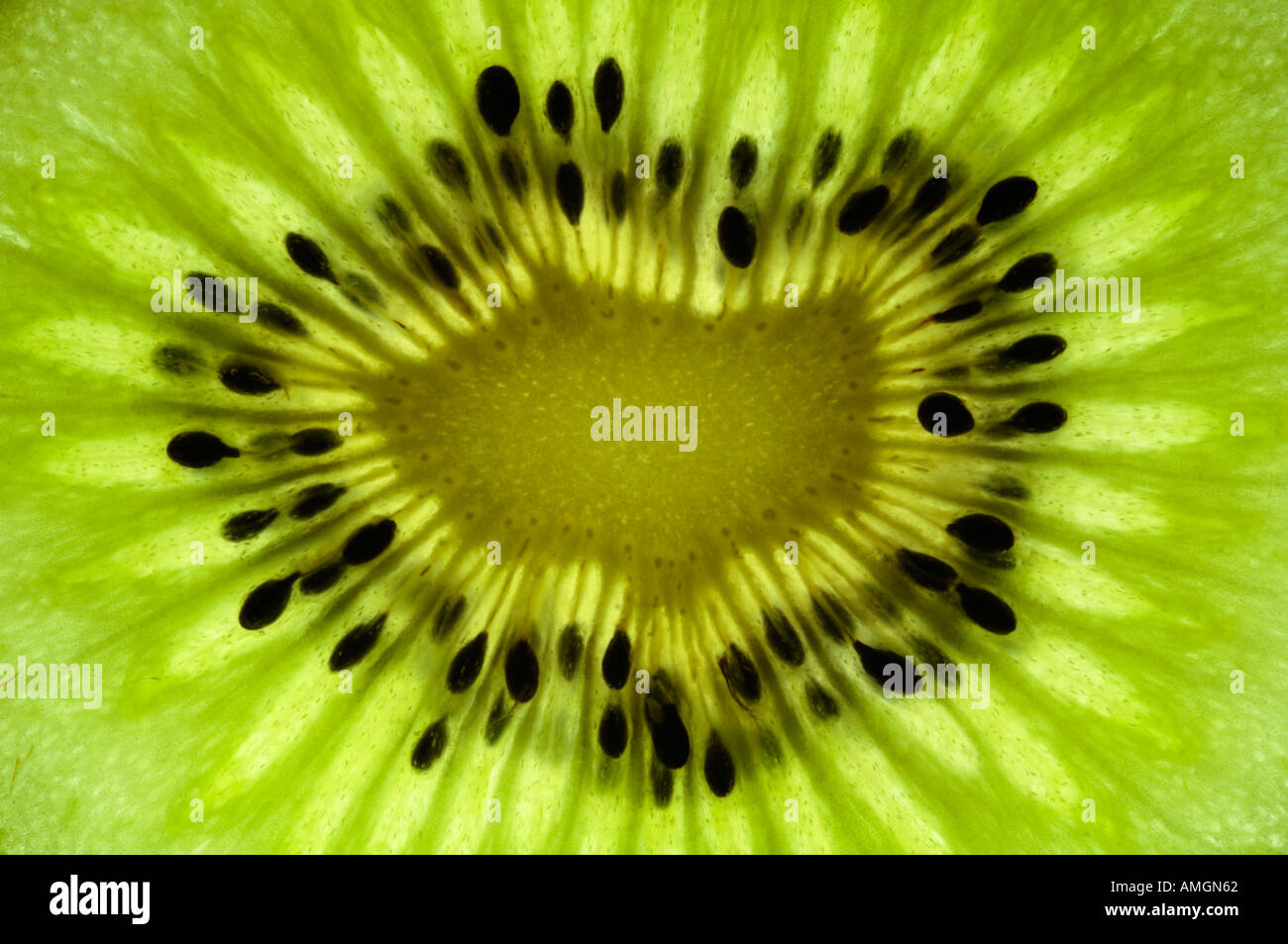 Close up di fetta di lussureggiante verde kiwi accesa da sotto Foto Stock