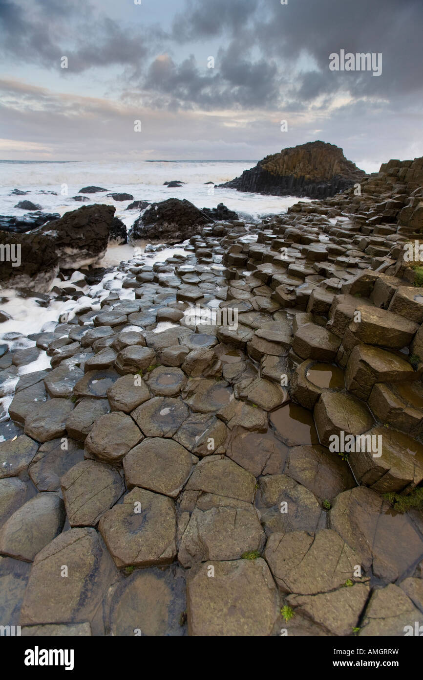 Giant's Causway, Antrim, Irlanda del Nord Foto Stock