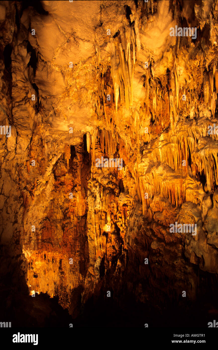 Italien, Veneto, Julisch Veneto, Friuli, Friuli, Sgonico, Grotta Gigante  grösste Höhle der Welt Die für Besucher erschlossen Foto stock - Alamy