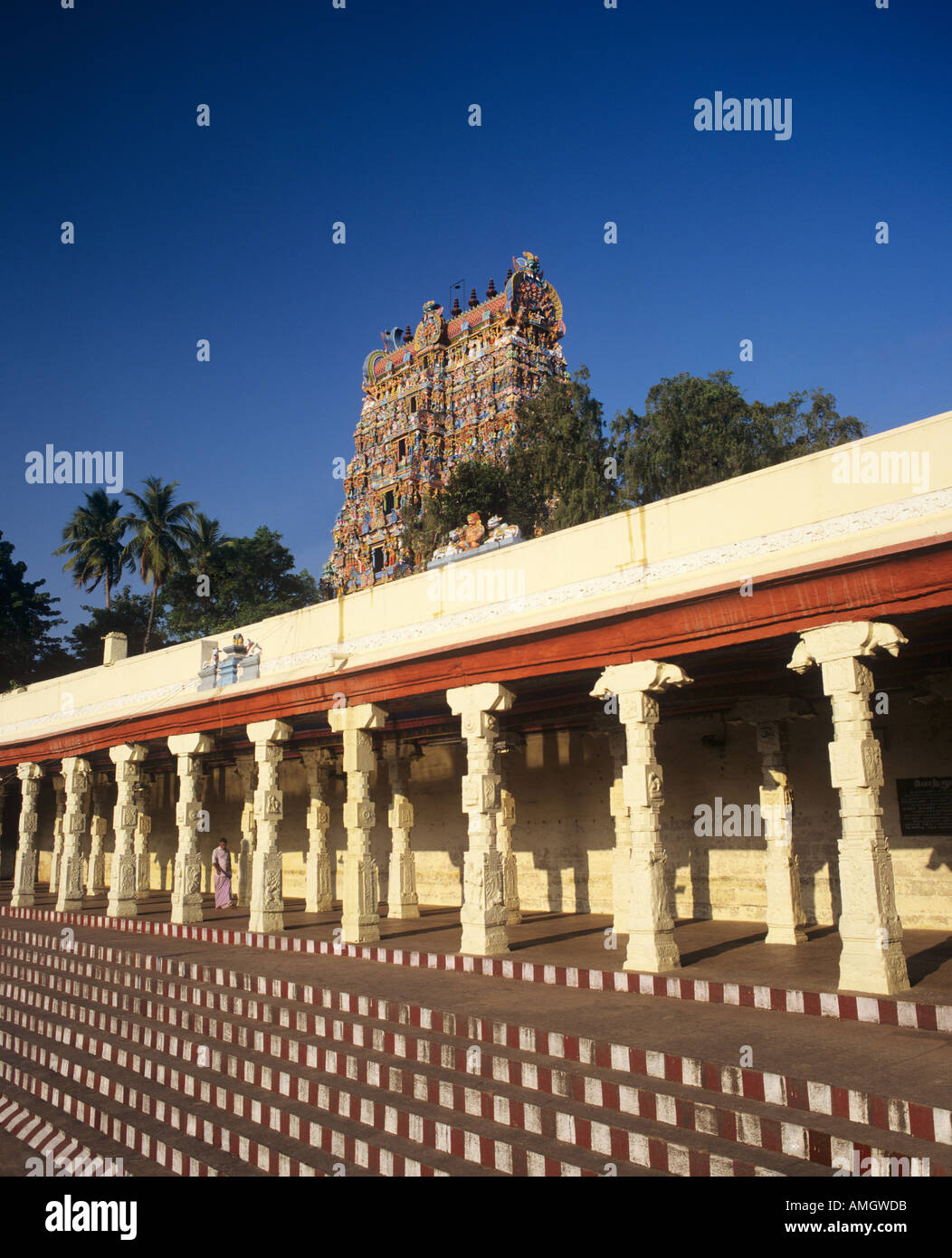 Tempio di Minakshi Madurai India Foto Stock