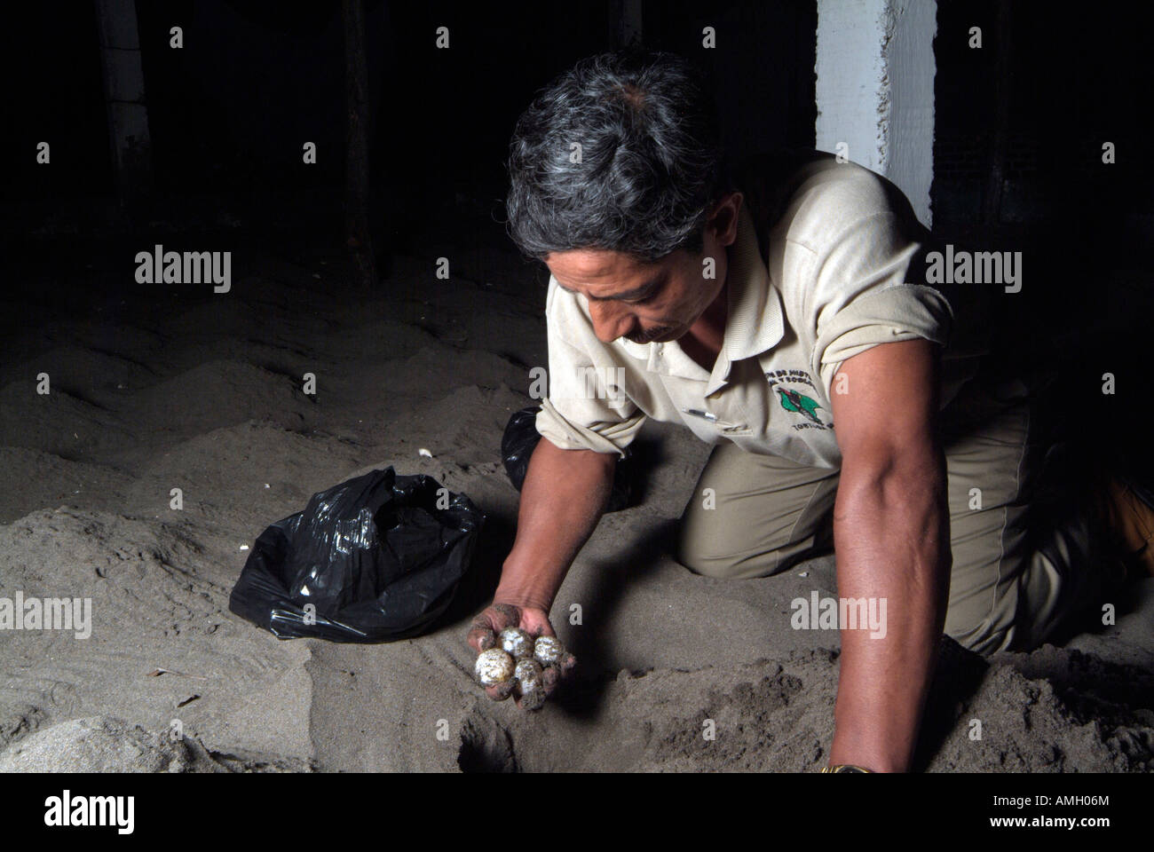 Messico, Chiapas, Puerto Arista Turtle Research Station, biologi scavare Olive Ridley sea turtle nidi Foto Stock