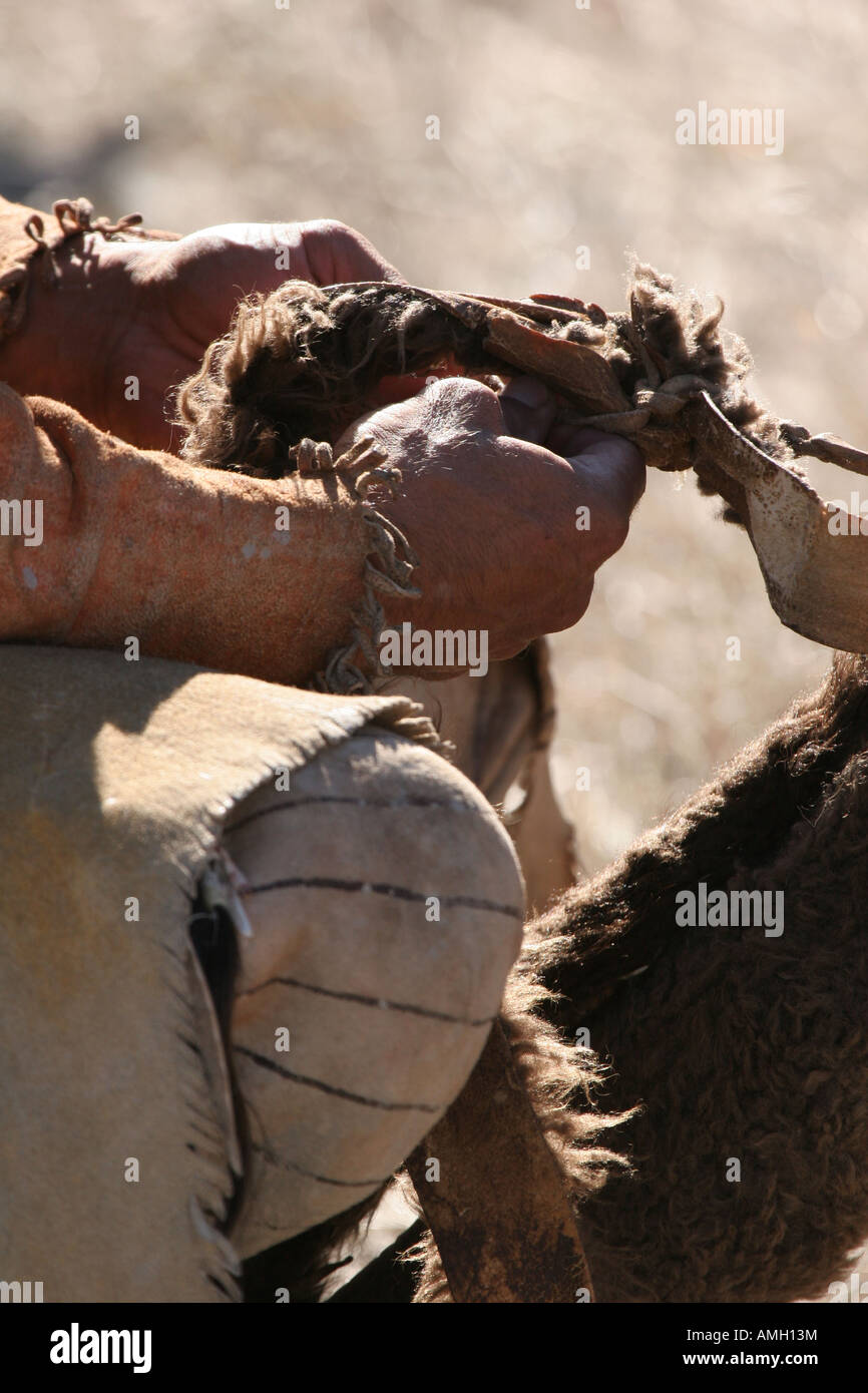 Un Native American Indian man tenendo la pelle di bufalo fur spalline di un arco e frecce vettore Foto Stock Un Native American Indian man tenendo la pelle di bufalo fur spalline di un arco e frecce vettore Foto Stock