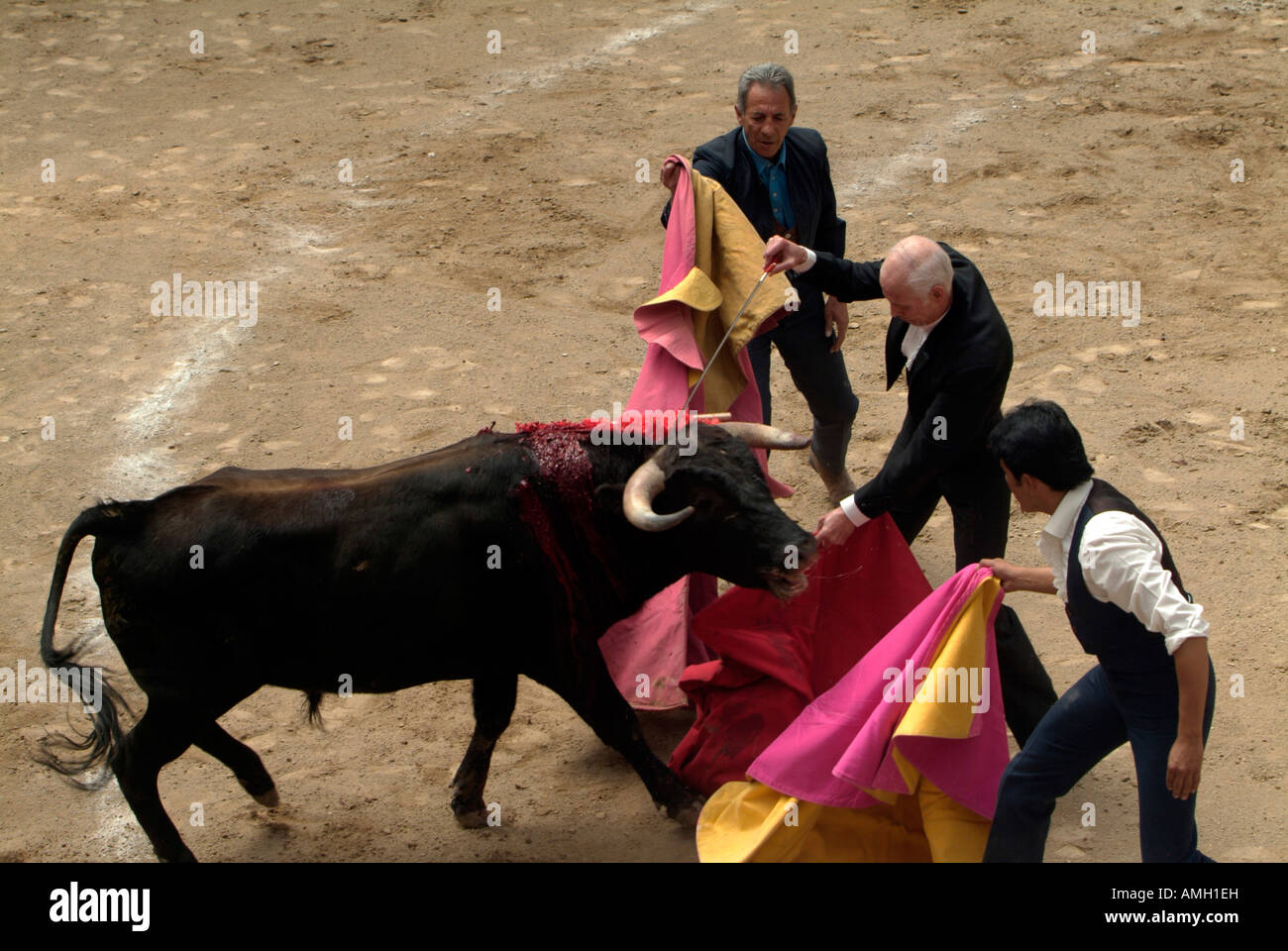 Messico, Città del Messico, la Corrida all'anello di Arroyo Foto Stock