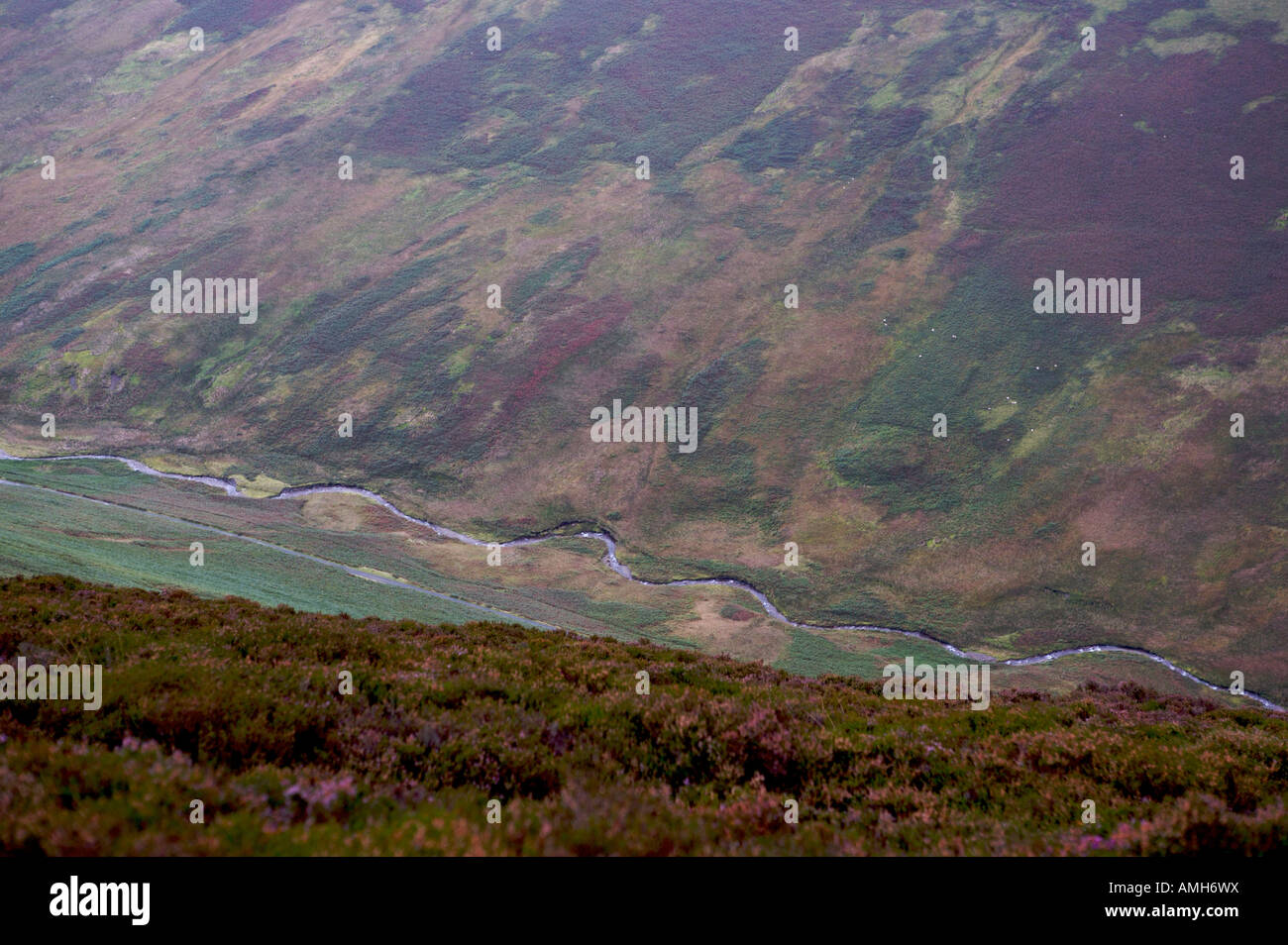 Una vista di Coledale Beck da Grisedale Pike nel Lake District inglese Foto Stock