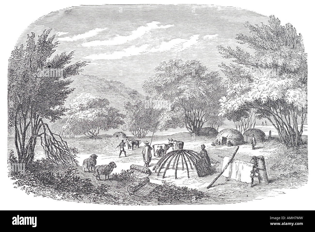 Kraal kafir Kraal kraul craal Afrikaans Sudafricano bestiame bovino homestead village palizzata, muro di fango, scherma circa c Foto Stock