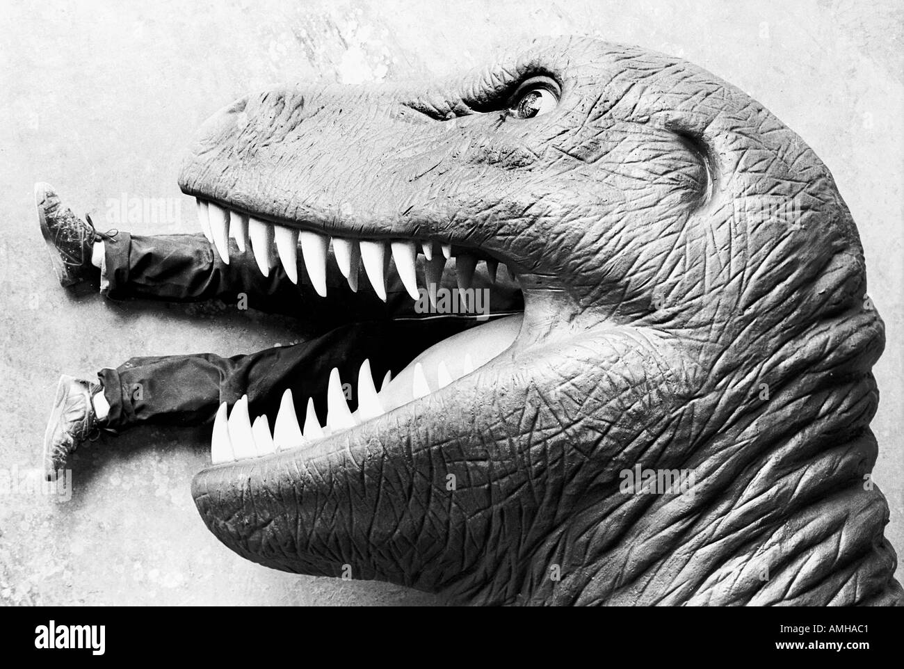 Un tirannosauro Rex MODELLO IN COSTRUZIONE PIC da John ROBERTSON Foto Stock