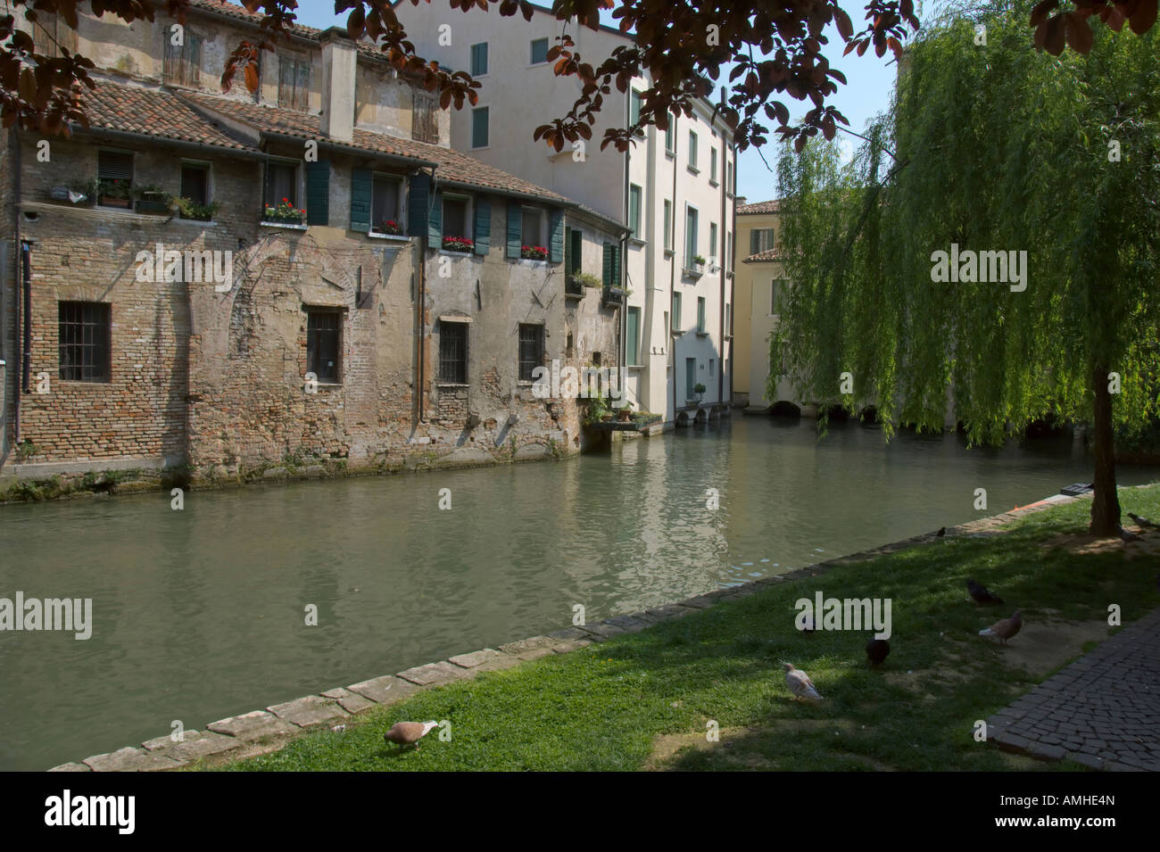 Treviso Cagnan Riva Canal medieval vecchi mulini Veneto Italia Aprile 2007 Foto Stock