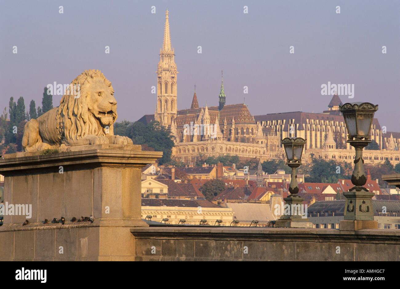 Statua di Lion sul Ponte delle Catene e Chiesa Matyas Budapest Ungheria Foto Stock