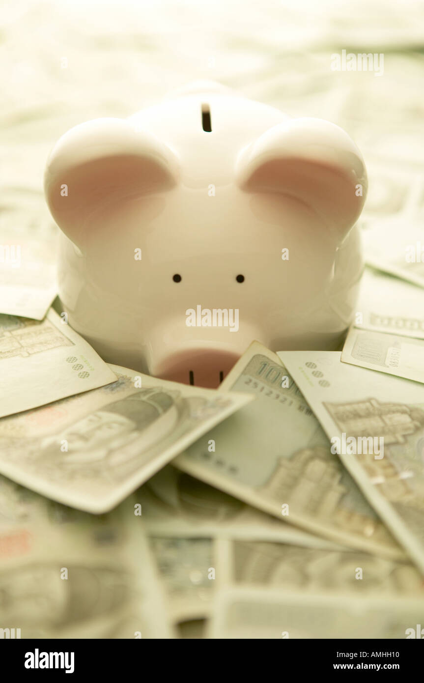 Azienda,soldi,carta moneta,salvataggio,box risparmio,pig Foto Stock