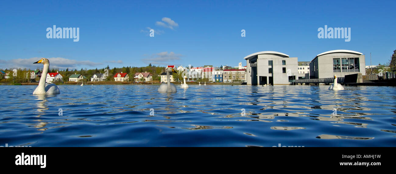 Tjorn Lake City Hall Reykjavik Islanda Foto Stock