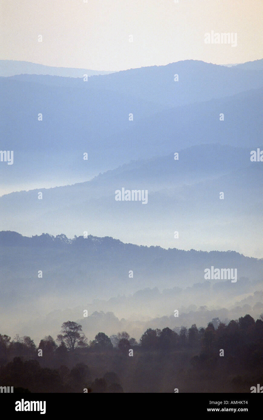 Nebbia di mattina su West va sulla US Route 219 Foto Stock