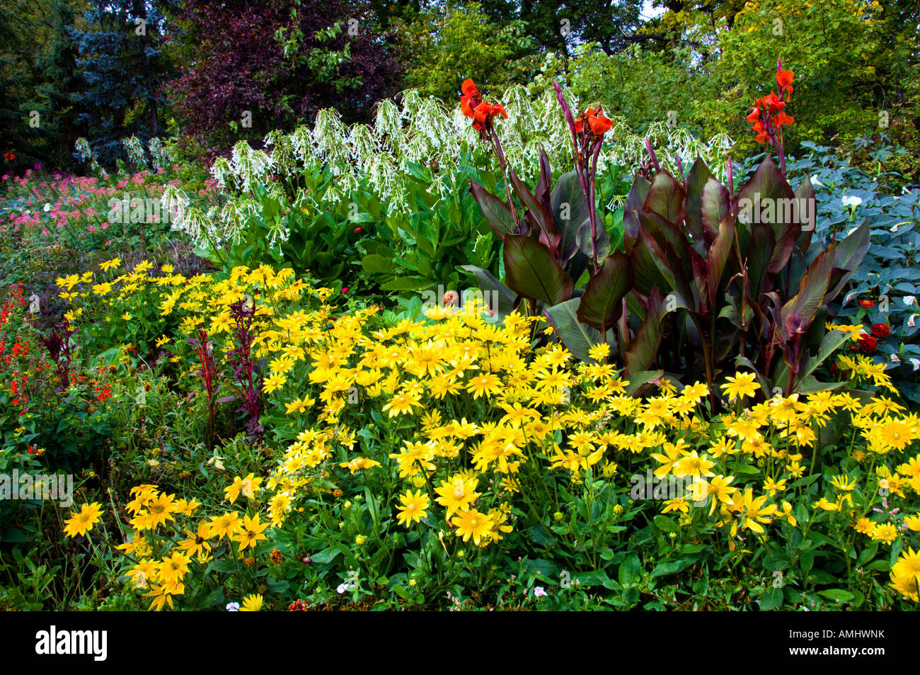Un fiore coloratissimo letto a disposizione giardini inglesi di Assiniboine Park in Winnipeg Manitoba Canada Foto Stock