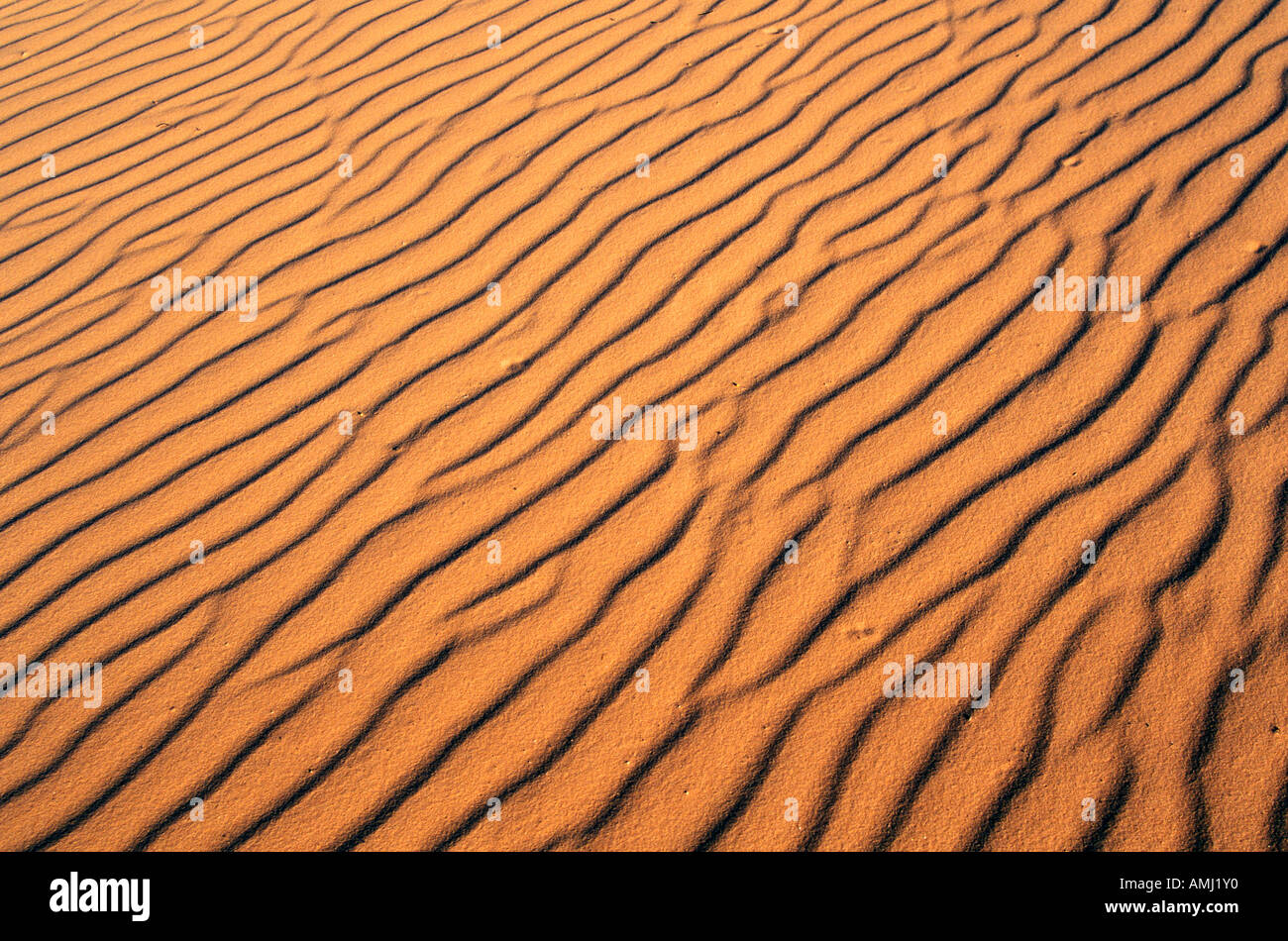 Close up di sabbia in Coral Pink Sand Dunes State Park southern UT Foto Stock