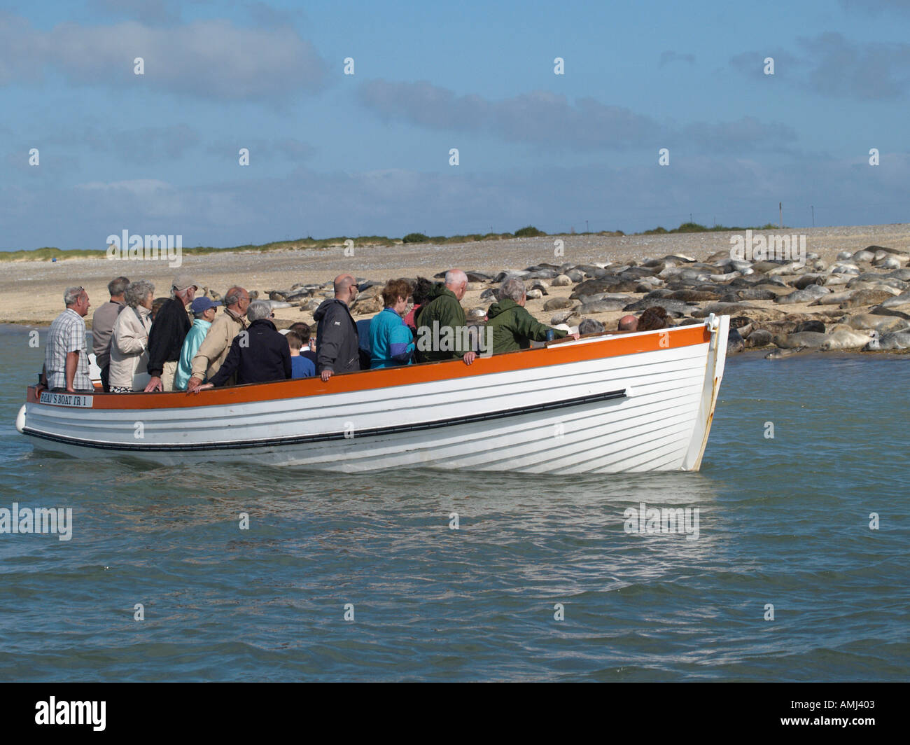 Imbarcazione per il trasporto di passeggeri per visualizzare la colonia di foche a blakeney norfolk East Anglia England Regno Unito Foto Stock