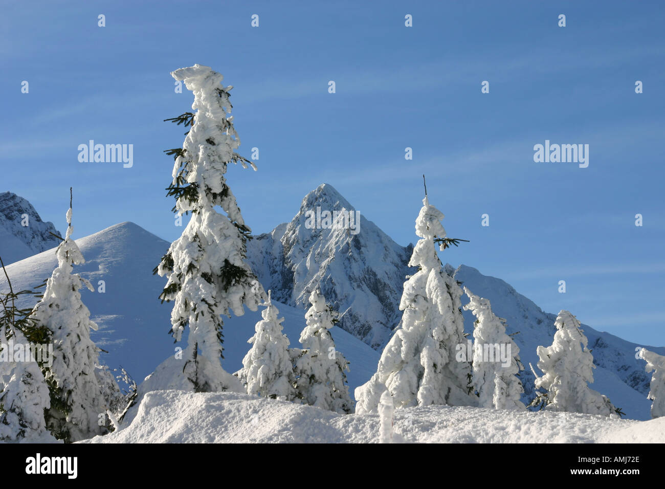 Paesaggio invernale nella regione di Gantrisch di Swissalps Foto Stock