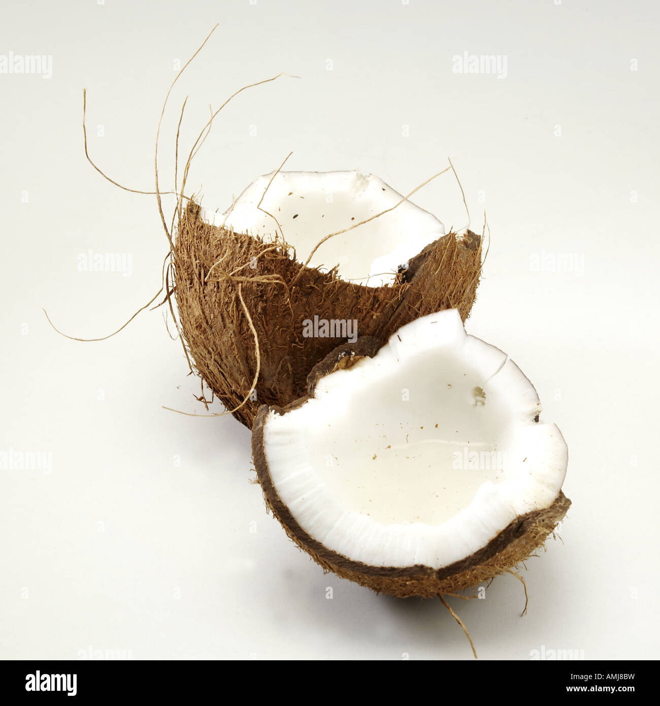 Noce di cocco Foto Stock
