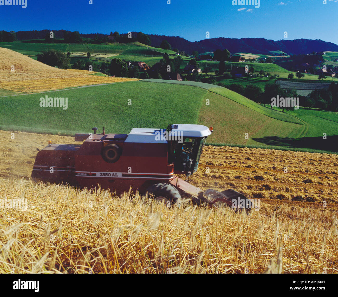 Luglio 1998 la Svizzera Eriswil trattore campo di lavorazione Foto Stock