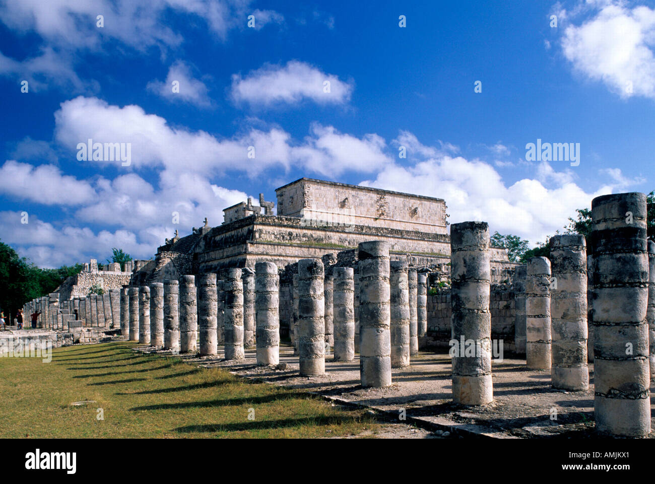 Mexiko, Yucatan, Chichen Itza, il Templo de Los Guerreros, Säulen der Halle der tausend Säulen, il Grupo de Las Columnas Mil Foto Stock