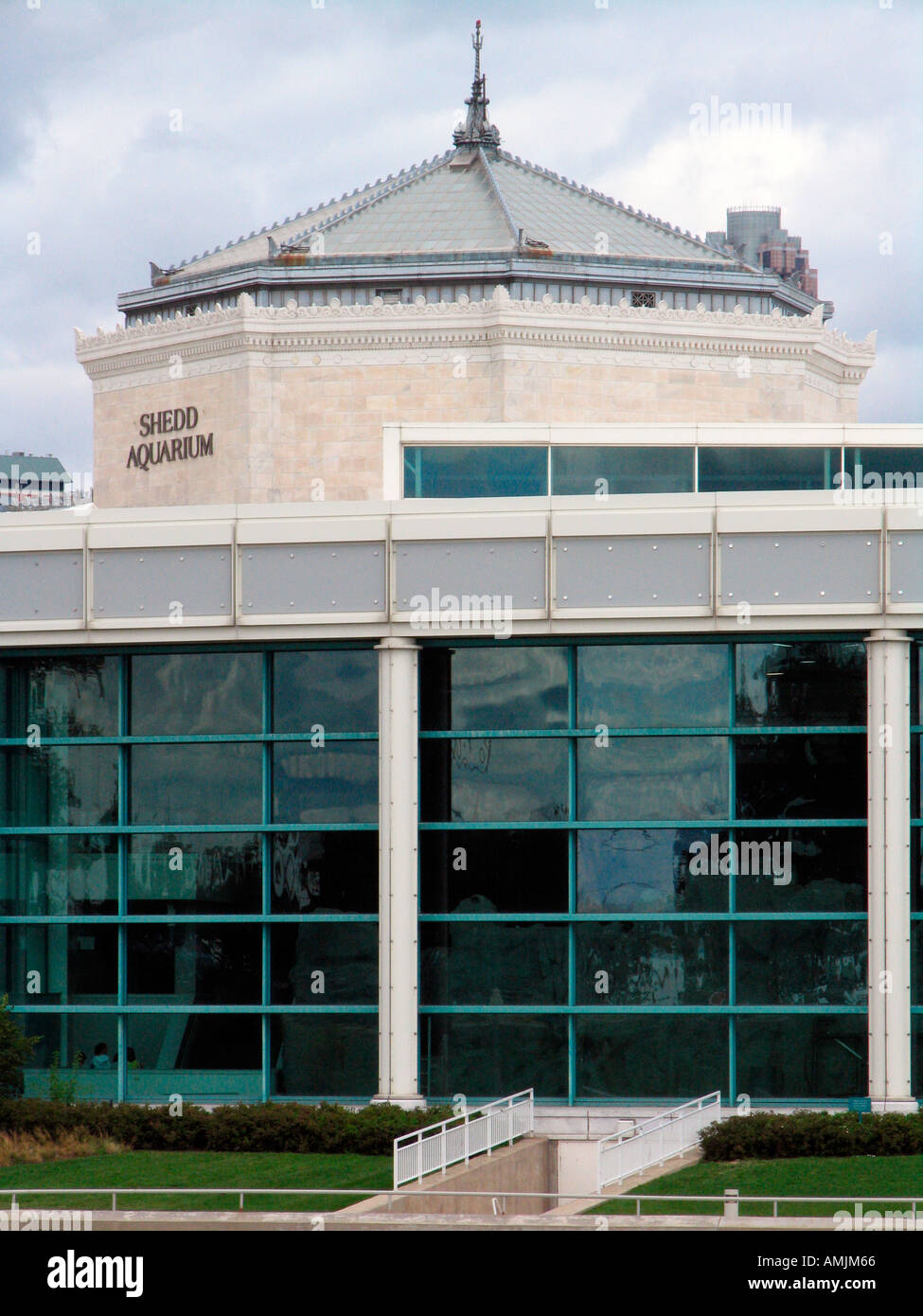 John G Shedd Aquarium museum Chicago Illinois USA Foto Stock