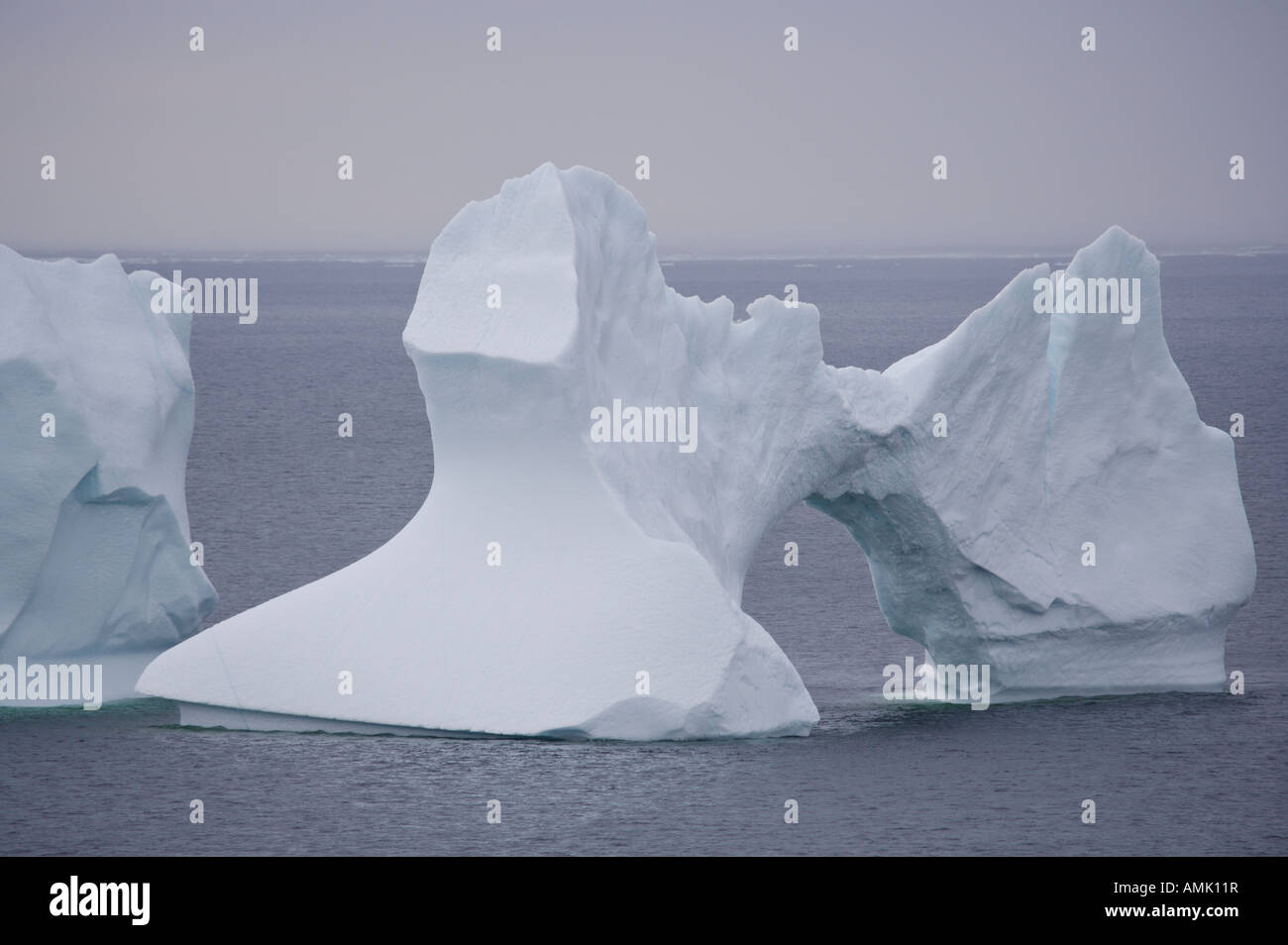 Iceberg, grande Brehat nel vicolo Iceberg, la penisola a nord, Terranova, Canada. Foto Stock